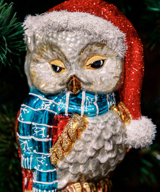 Scandinavian owl  1k0a5970