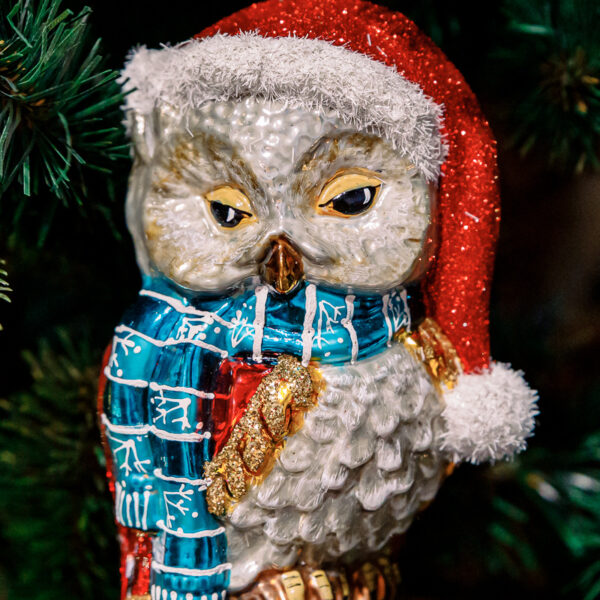 Scandinavian owl 1k0a5970