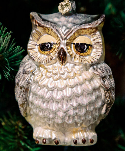 Wise owl silver  1k0a5971