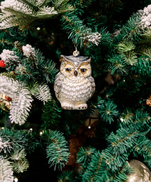 Wise owl silver  1k0a5972