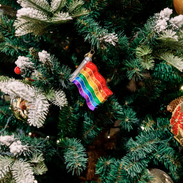 Rainbow flag 1k0a5979