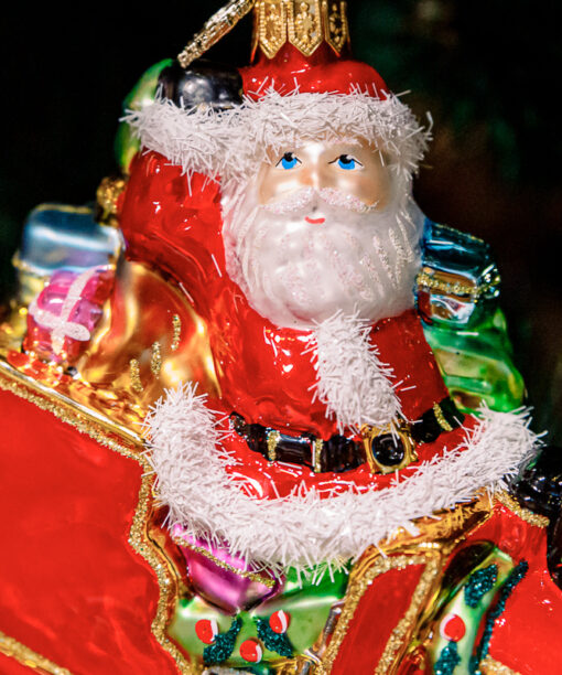 Santa Claus with children  1k0a5981