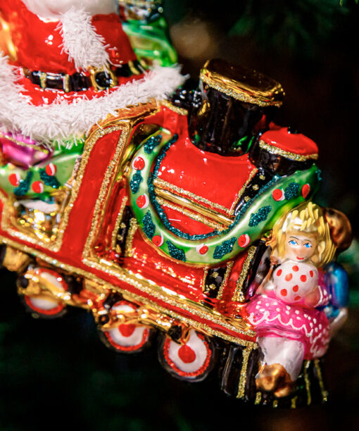 Santa Claus with children  1k0a5982