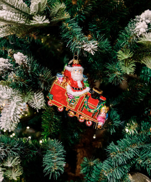 Santa Claus with children  1k0a5983