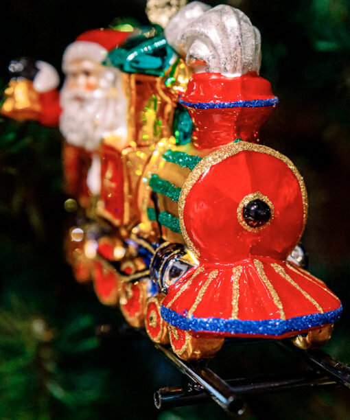 Santa Claus in the locomotive  1k0a6003