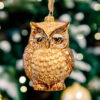 Wise owl golden  1k0a6031