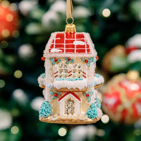 Ginger bread house big 1k0a6047