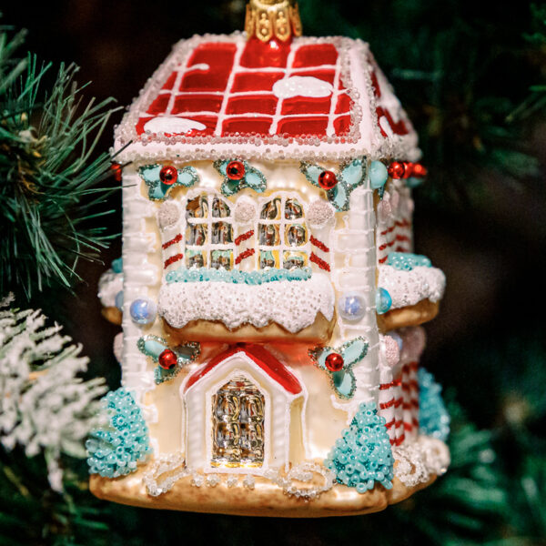 Ginger bread house big 1k0a6049