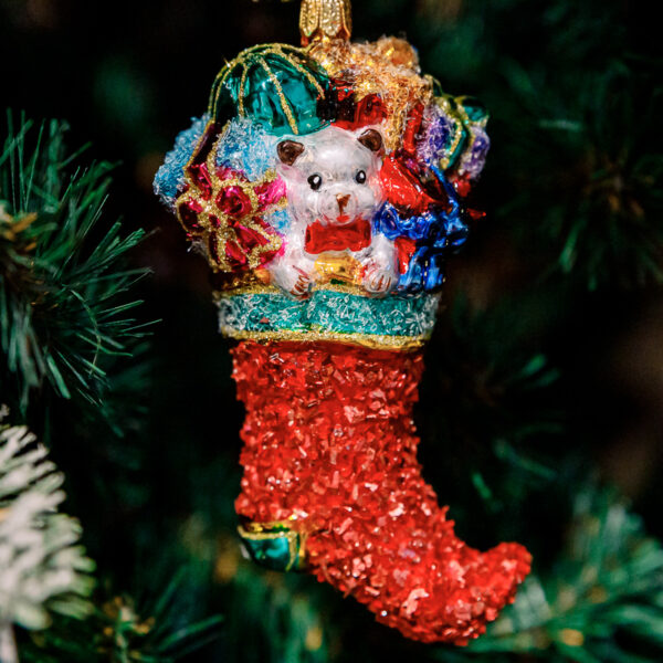 Christmas sock full of gifts 1k0a6059