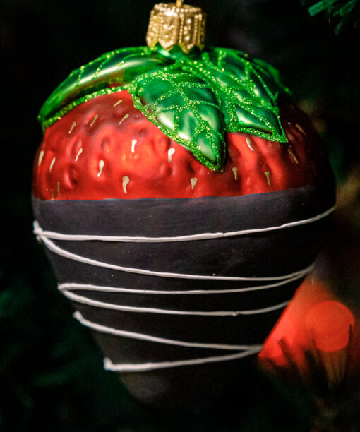 Strawberry in a chocolate  1k0a6069