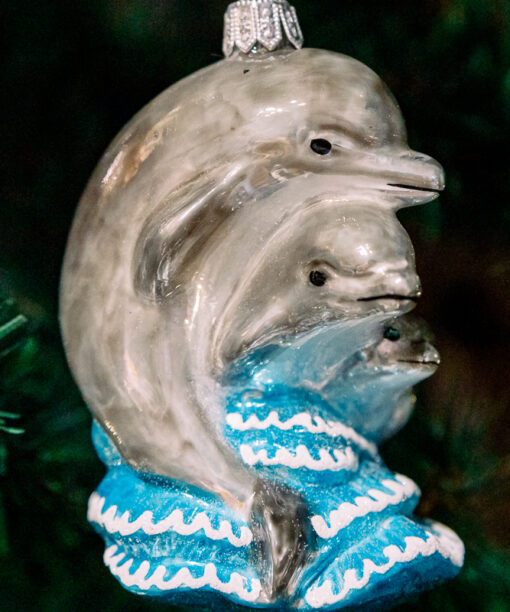 Dolphin family  1k0a6078