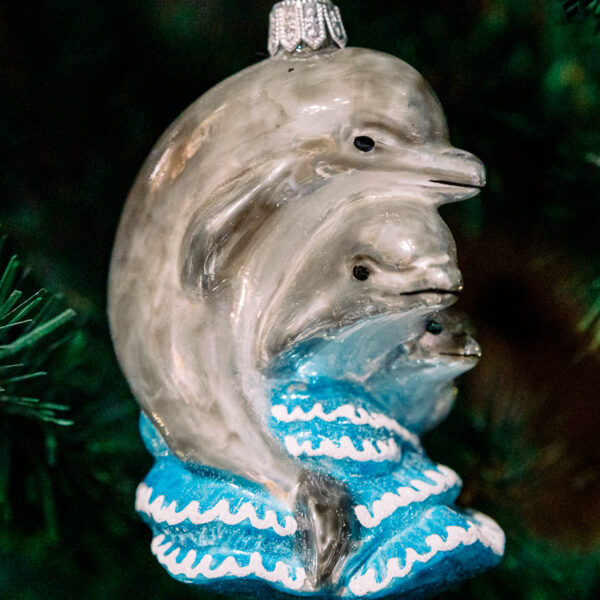 Dolphin family 1k0a6078