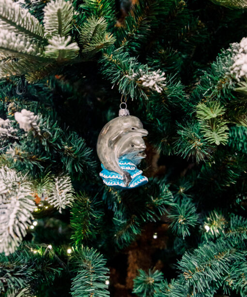 Dolphin family  1k0a6079