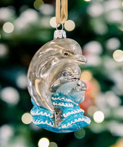 Dolphin family  1k0a6097