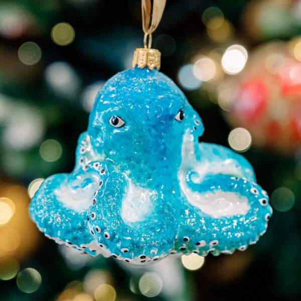 Octopus 1k0a6122