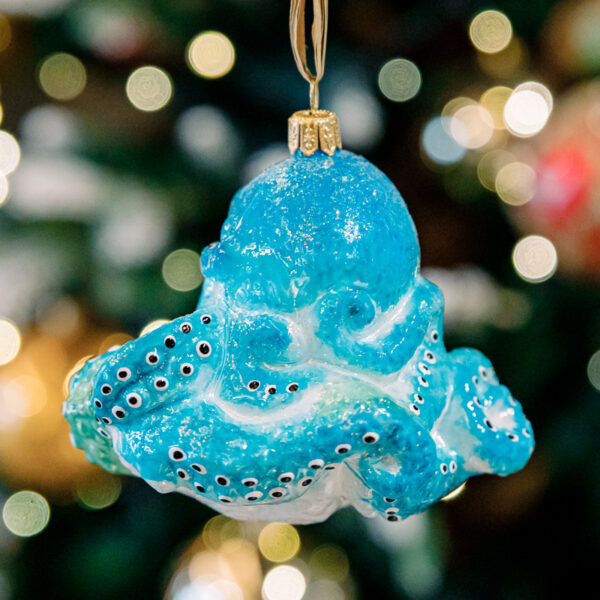 Octopus 1k0a6123