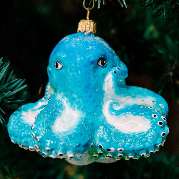 Octopus 1k0a6125