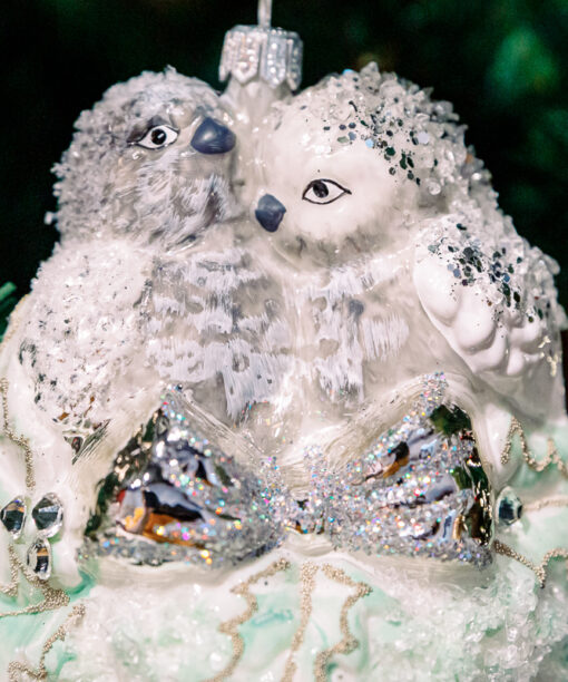 Titmouse in the nest  1k0a6133