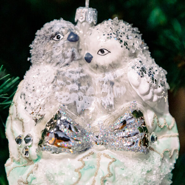Titmouse in the nest 1k0a6133