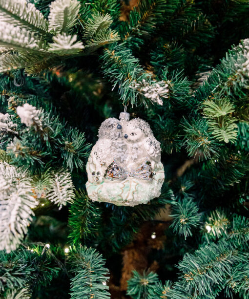 Titmouse in the nest  1k0a6134