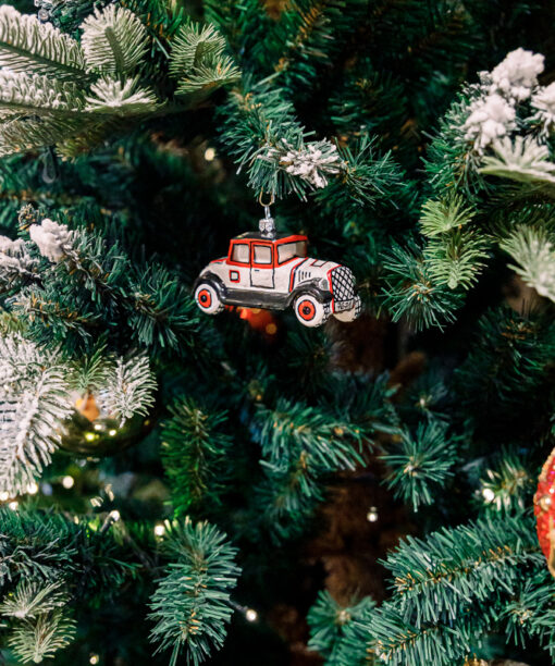 Car oldtimer  1k0a6135