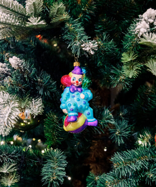 Clown on the ball  1k0a6147