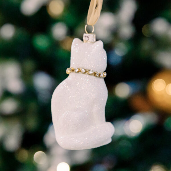 White cat 1k0a6155