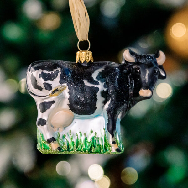 Cow 1k0a6167