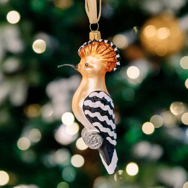 Hoopoe 1k0a6171