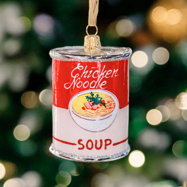 Chicken soup 1k0a6186