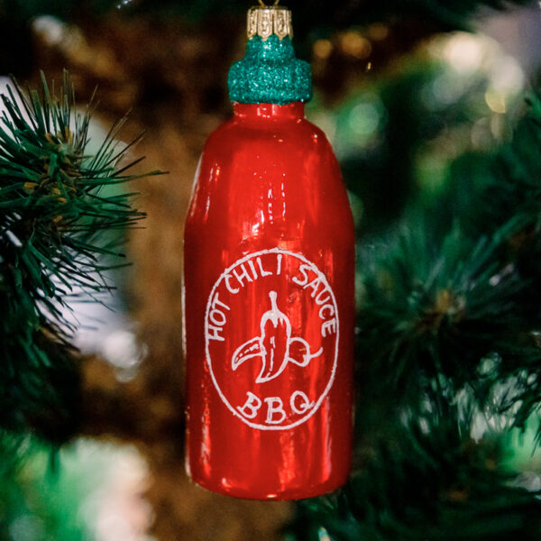 Hot chilli souce 1k0a6198