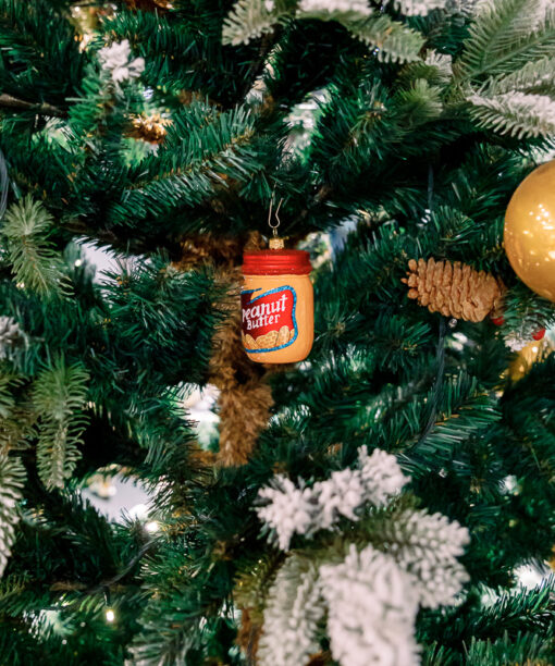 Peanut butter  1k0a6201