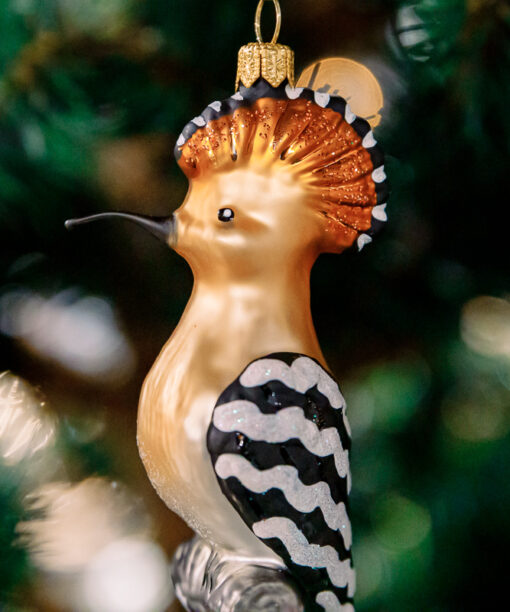 Hoopoe  1k0a6238