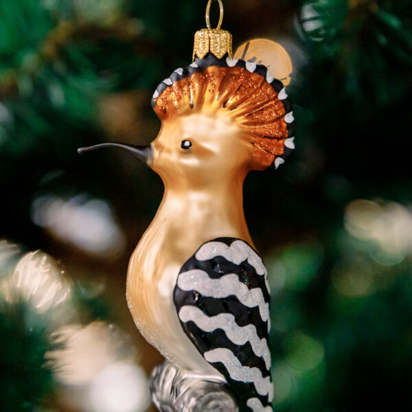 Hoopoe 1k0a6238