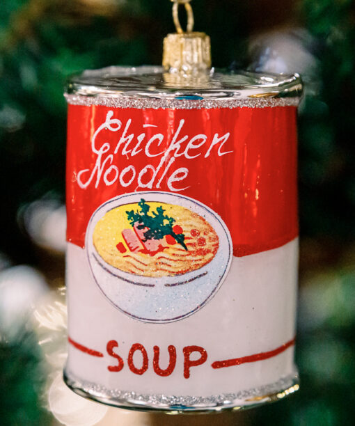 Chicken soup 1k0a6240