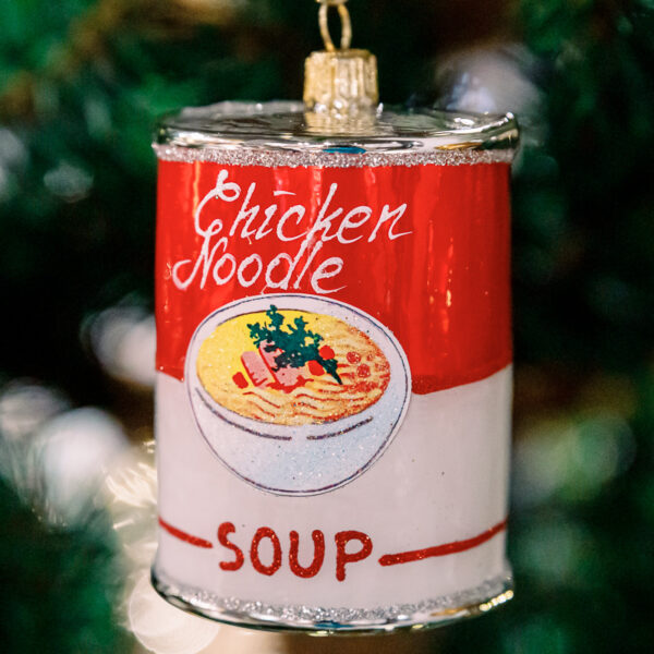 Chicken soup 1k0a6240
