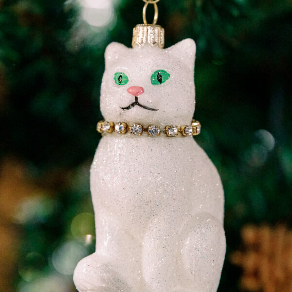 White cat 1k0a6250