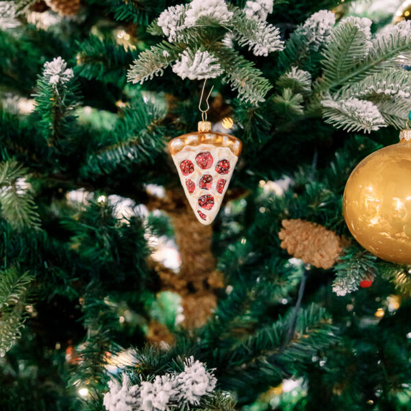 Slice of a pizza 1k0a6251