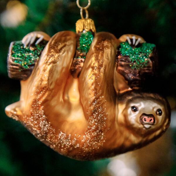 Sloth 1k0a6313
