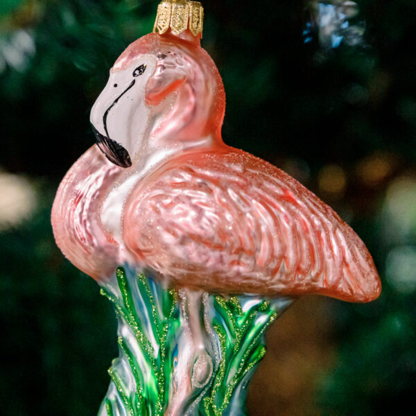 Flamingo 1k0a6331