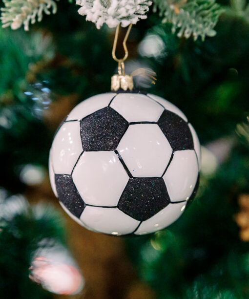 Football ball  1k0a6335