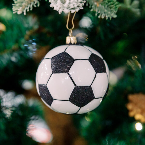 Football ball 1k0a6335