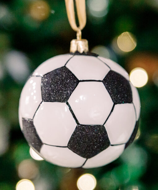 Football ball  1k0a6336