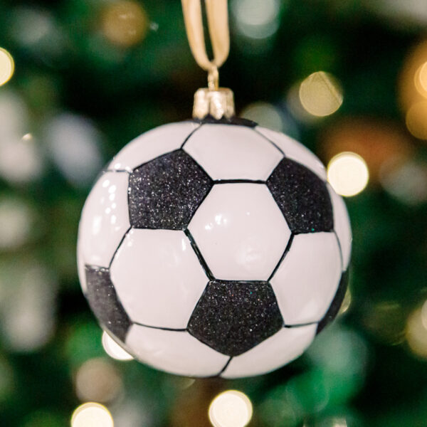 Football ball 1k0a6336