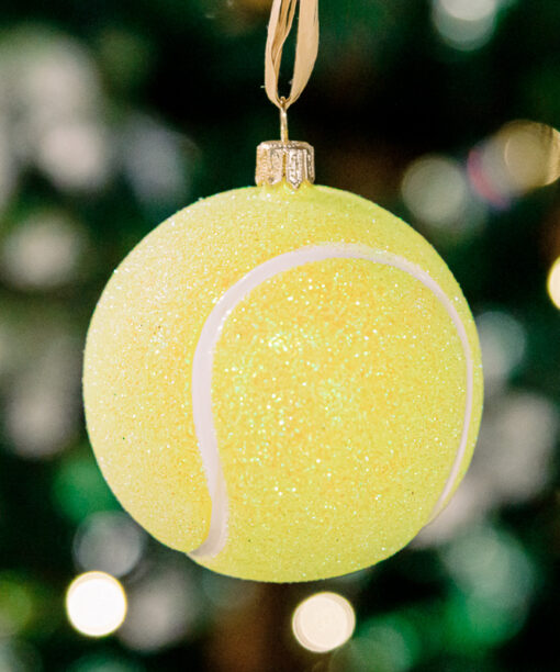 Tennis ball  1k0a6337