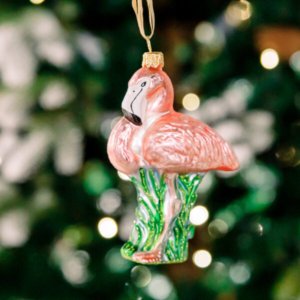 Flamingo 1k0a6339