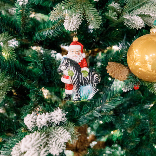 Santa Claus with zebra 1k0a6419