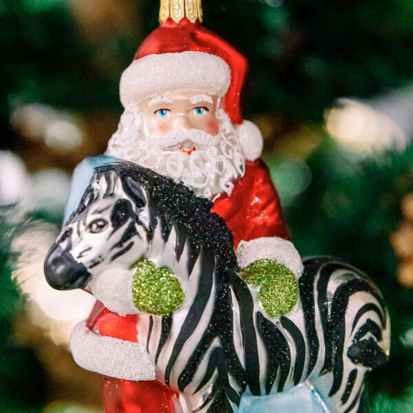 Santa Claus with zebra 1k0a6420