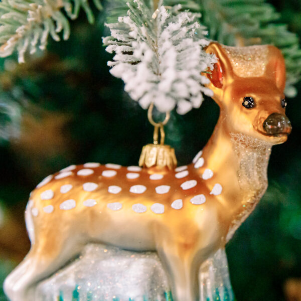 Fawn 1k0a6424