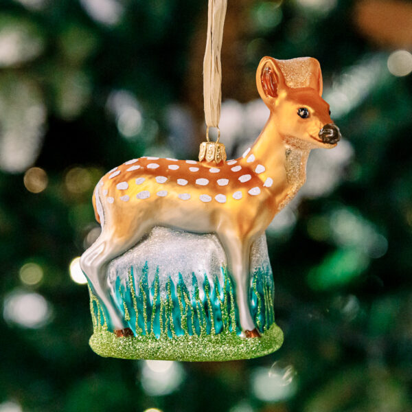 Fawn 1k0a6429